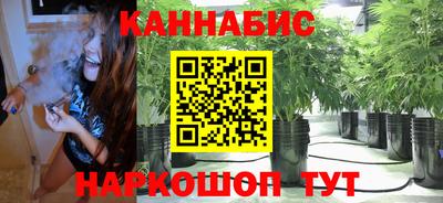 крисы Кандалакша
