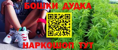 крисы Кандалакша