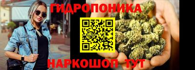 дурь Камышлов