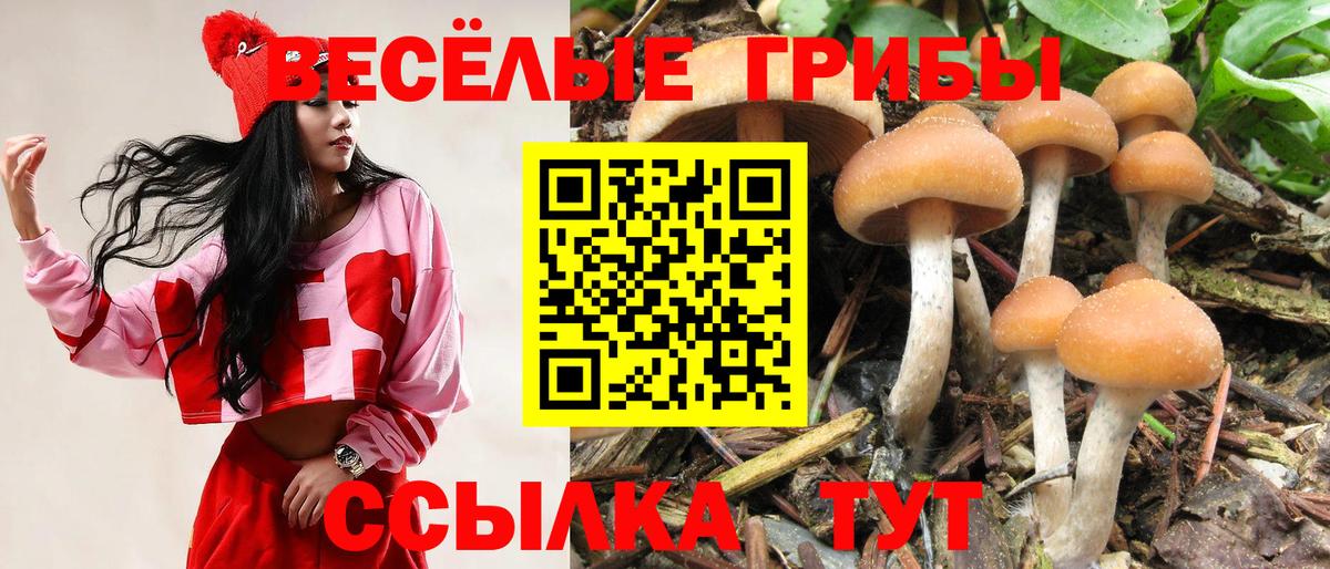 Псилоцибиновые грибы мухоморы Шелехов