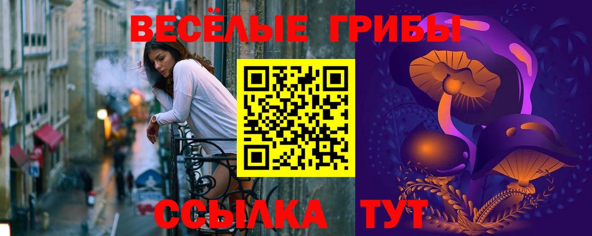 Псилоцибиновые грибы Psilocybine cubensis  Вход с VPN  Галлюциногенные грибы ЛСД  Шелехов 